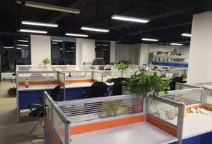 跨界奇遇 土雞蛋、辣條與技術咨詢的意外碰撞